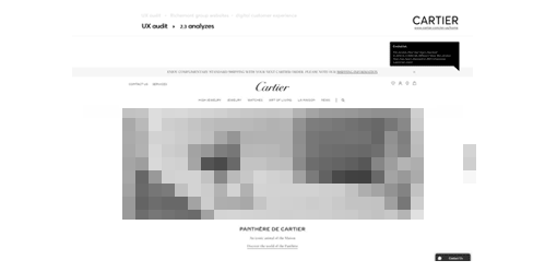 Audit UX luxe